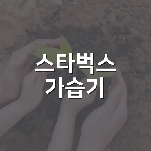 스타벅스 가습기, 왜 이렇게 인기일까? - 요약