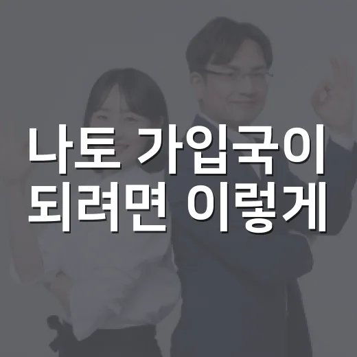 나토 가입국이 되려면 이렇게 - 요약