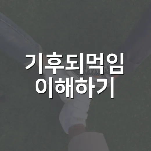 기후되먹임 이해하기: 자연의 순환과 우리의 역할 - 요약