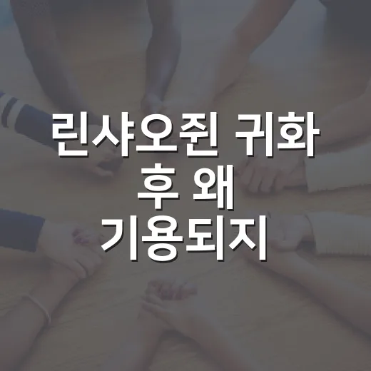 린샤오쥔 귀화 후 왜 기용되지 않았을까? - 요약