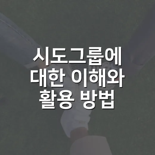 시도그룹에 대한 이해와 활용 방법 - 요약