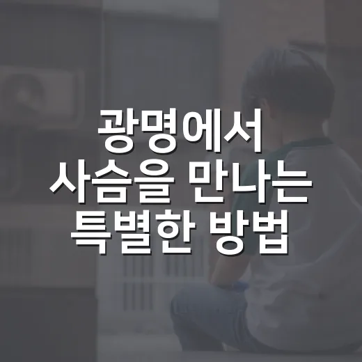광명에서 사슴을 만나는 특별한 방법 - 요약