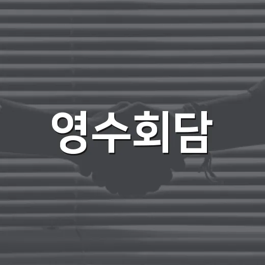 영수회담: 그 의미와 중요성 이해하기 - 요약