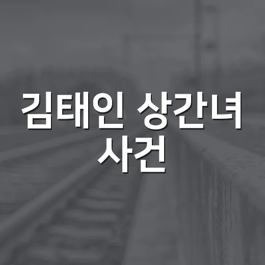 김태인 상간녀 사건: 사실과 오해를 파헤치다 - 요약