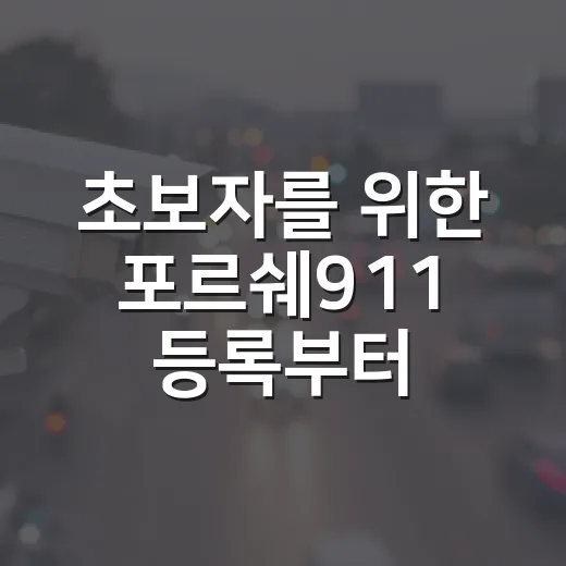 초보자를 위한 포르쉐911 등록부터 운전까지 챙기는 방법 - 요약