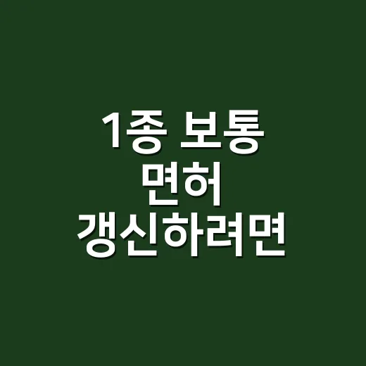 1종 보통 면허 갱신하려면 이렇게 준비하세요 - 요약