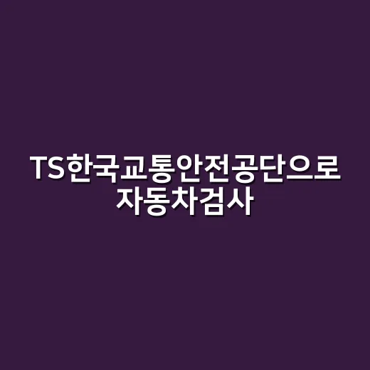 TS한국교통안전공단으로 자동차검사·운전적성정밀검사 처리하는 방법 - 요약