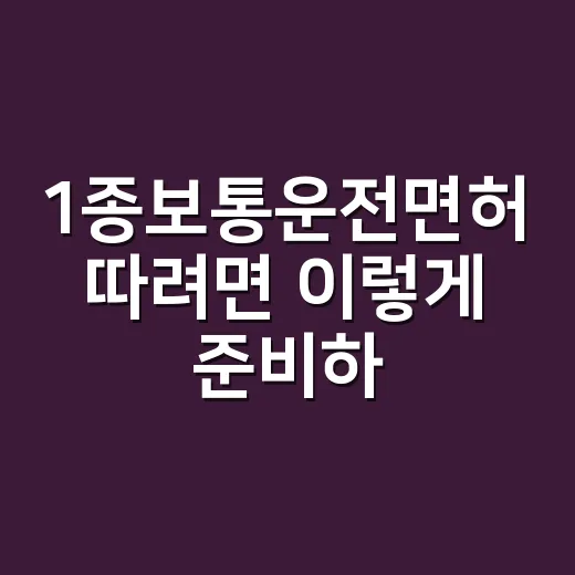 1종보통운전면허 따려면 이렇게 준비하세요 - 요약