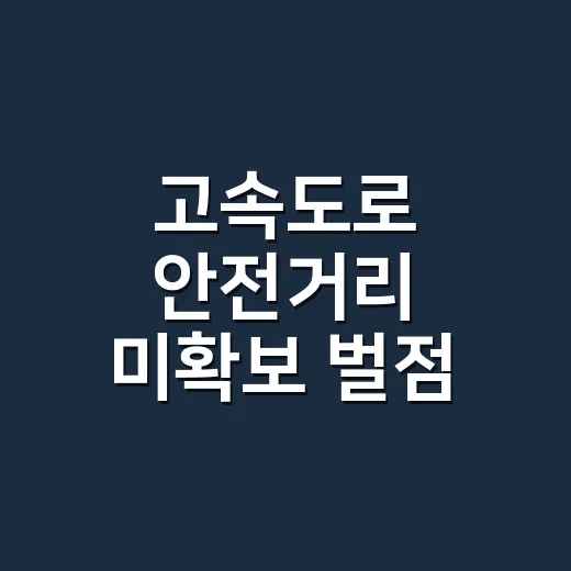 고속도로 안전거리 미확보 벌점 피하려면 이렇게 운전하세요 - 요약