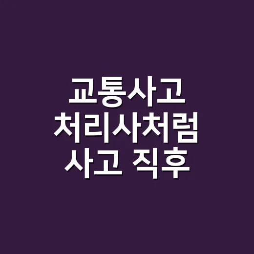 교통사고 처리사처럼 사고 직후 처리하는 방법 - 요약