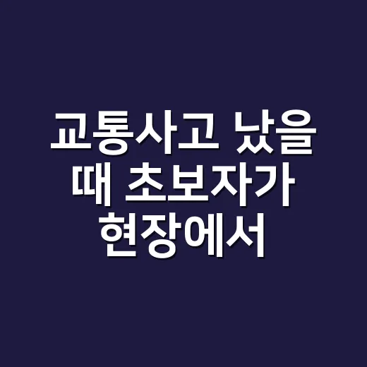 교통사고 났을 때 초보자가 현장에서 처리하는 방법 - 요약