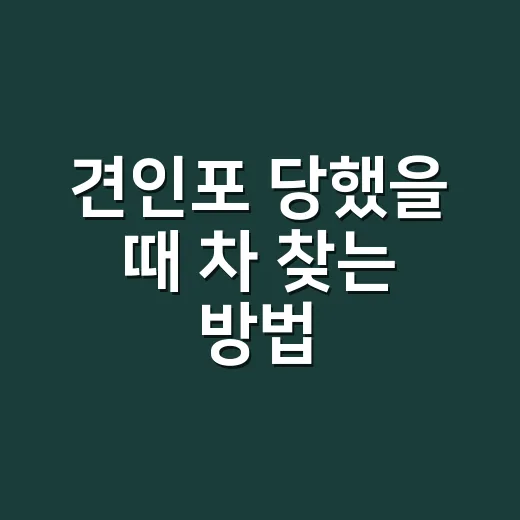 견인포 당했을 때 차 찾는 방법, 비용부터 과태료까지 이렇게 확인합니다 - 요약