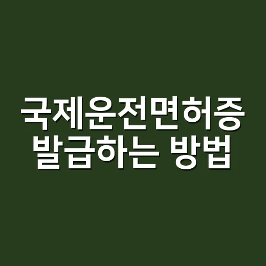 국제운전면허증 발급하는 방법, 출국 전 이렇게 준비하면 됩니다 - 요약