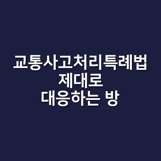 교통사고처리특례법 제대로 대응하는 방법, 보험만 믿으면 안 됩니다 - 요약