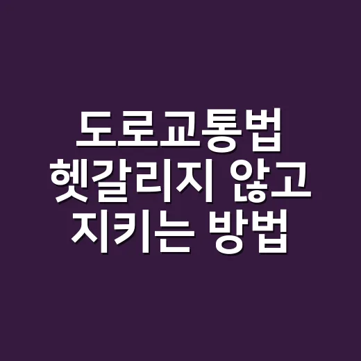 도로교통법 헷갈리지 않고 지키는 방법, 과태료와 벌점부터 확인하세요 - 요약