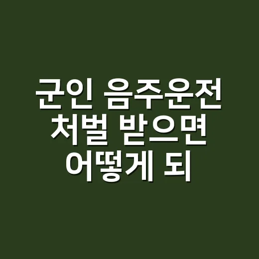 군인 음주운전 처벌 받으면 어떻게 되는지 단계별로 보는 방법 - 요약
