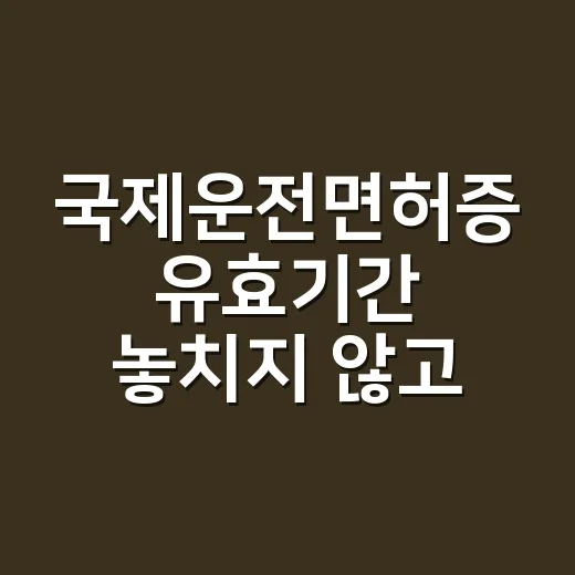 국제운전면허증 유효기간 놓치지 않고 발급받는 방법 - 요약