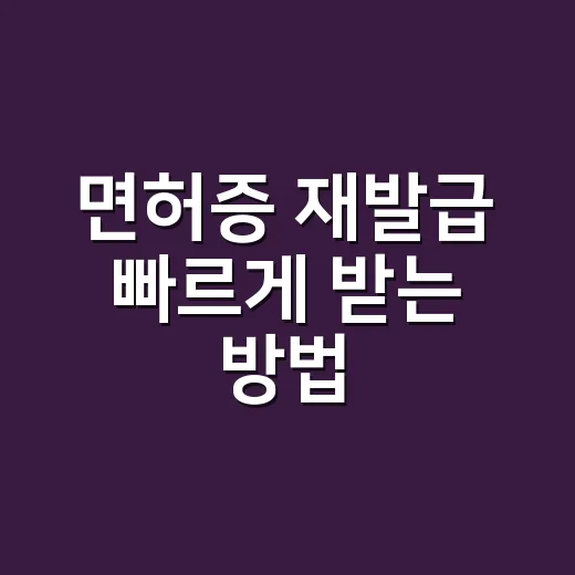 면허증 재발급 빠르게 받는 방법, 분실했을 때 순서부터 수수료까지 - 요약