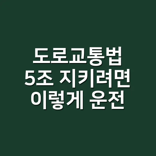 도로교통법 5조 지키려면 이렇게 운전해야 합니다 - 요약