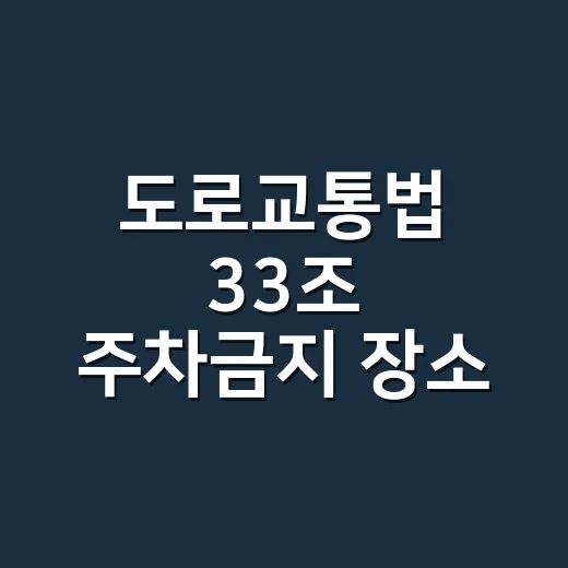도로교통법 33조 주차금지 장소 피하는 방법 - 요약