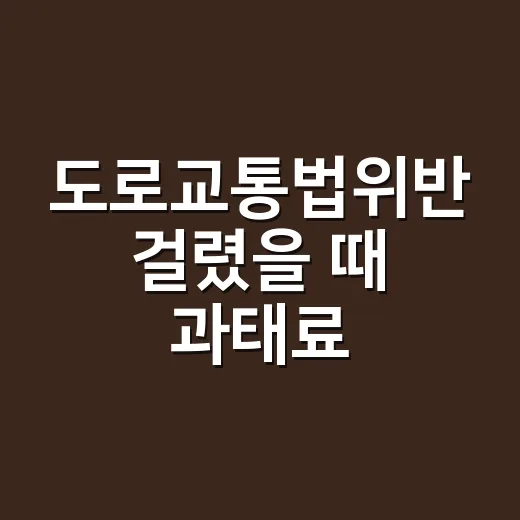 도로교통법위반 걸렸을 때 과태료·범칙금 확인하는 방법 - 요약