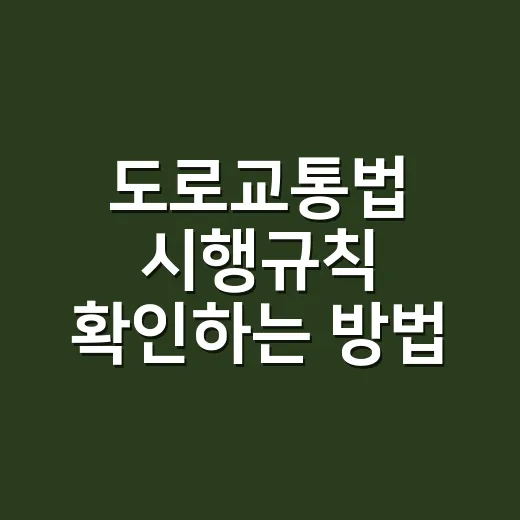 도로교통법 시행규칙 확인하는 방법, 면허 갱신·벌점에서 먼저 봐야 할 것 - 요약