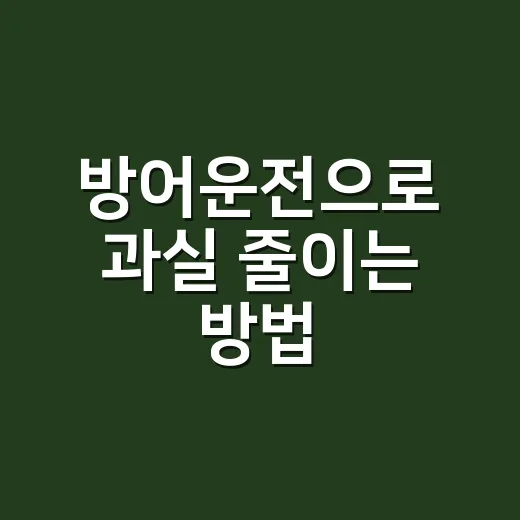 방어운전으로 과실 줄이는 방법, 사고 전에 남겨야 할 운전 습관 - 요약