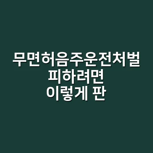 무면허음주운전처벌 피하려면 이렇게 판단해야 합니다 - 요약