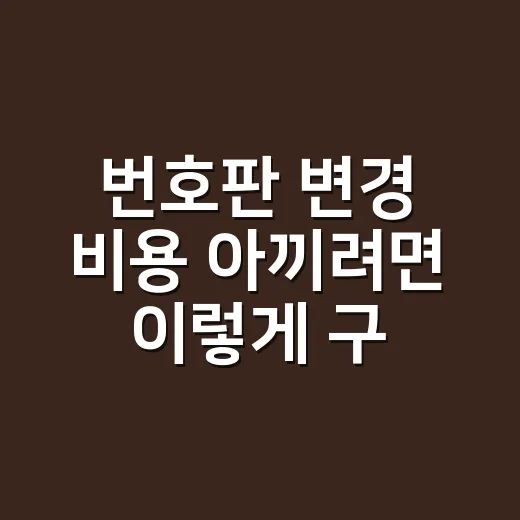 번호판 변경 비용 아끼려면 이렇게 구분하세요 - 요약