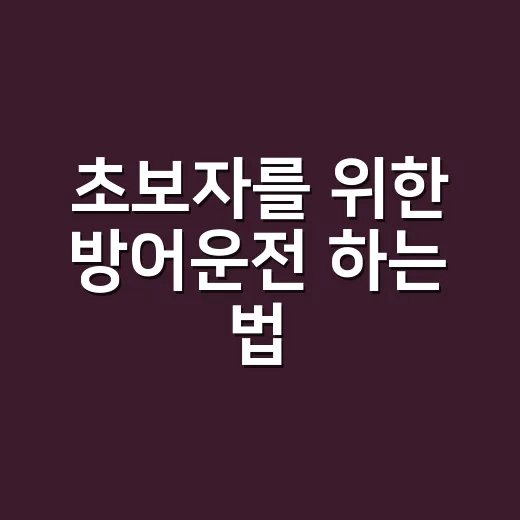초보자를 위한 방어운전 하는 법, 사고를 피하는 순서부터 바꾸세요 - 요약