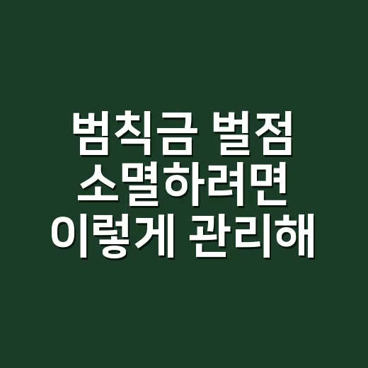 범칙금 벌점 소멸하려면 이렇게 관리해야 합니다 - 요약