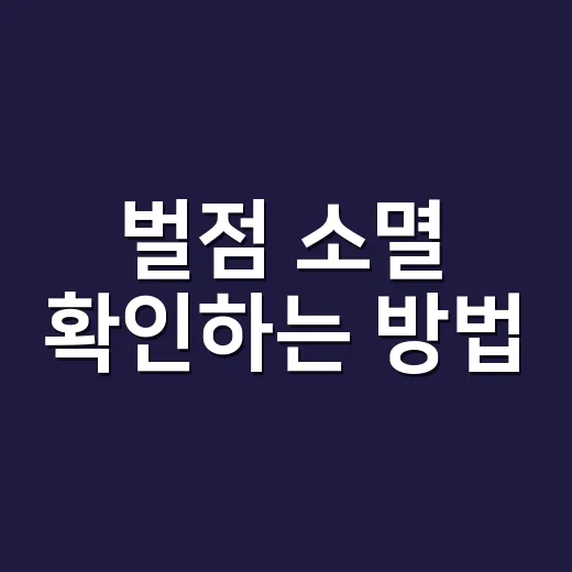 벌점 소멸 확인하는 방법, 40점 전후로 이렇게 갈립니다 - 요약