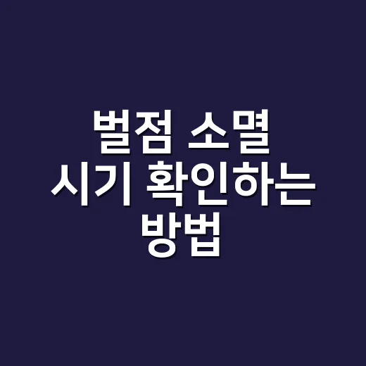 벌점 소멸 시기 확인하는 방법, 40점 전후가 갈립니다 - 요약