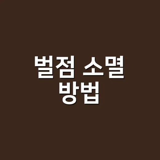 벌점 소멸 방법, 면허정지 전에 이렇게 처리합니다 - 요약