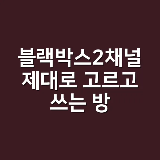 블랙박스2채널 제대로 고르고 쓰는 방법, 초보 운전자 기준으로 이렇게 보세요 - 요약