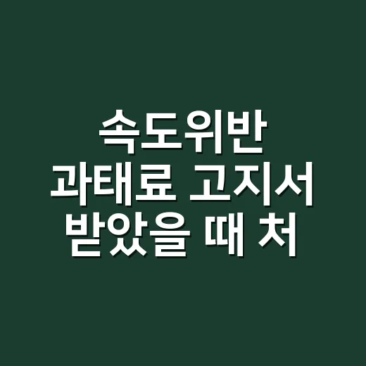속도위반 과태료 고지서 받았을 때 처리하는 방법 - 요약