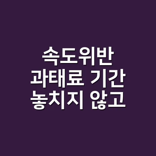 속도위반 과태료 기간 놓치지 않고 처리하는 방법 - 요약