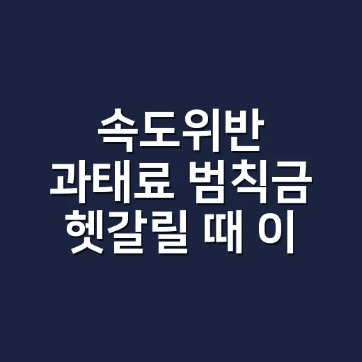 속도위반 과태료 범칙금 헷갈릴 때 이렇게 계산하는 방법 - 요약