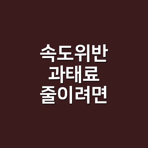 속도위반 과태료 줄이려면 이렇게 확인하세요 - 요약