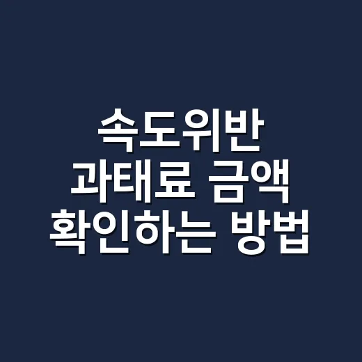 속도위반 과태료 금액 확인하는 방법, 카메라 단속과 현장단속은 이렇게 다릅니다 - 요약