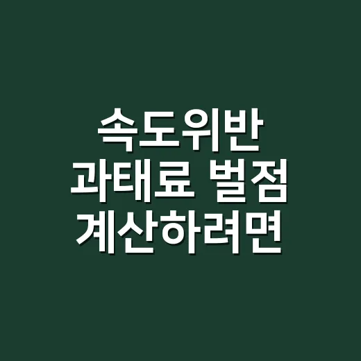 속도위반 과태료 벌점 계산하려면 이렇게 확인하세요 - 요약