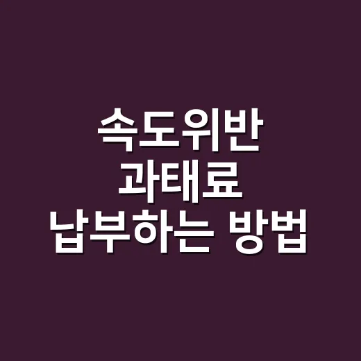 속도위반 과태료 납부하는 방법, 고지서 받기 전부터 체납 가산금까지 - 요약