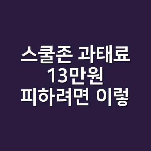 스쿨존 과태료 13만원 피하려면 이렇게 확인하세요 - 요약