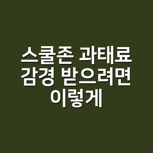 스쿨존 과태료 감경 받으려면 이렇게 확인하세요 - 요약