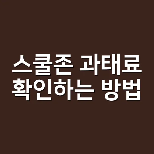 스쿨존 과태료 확인하는 방법, 고지서 오기 전 이렇게 보면 됩니다 - 요약