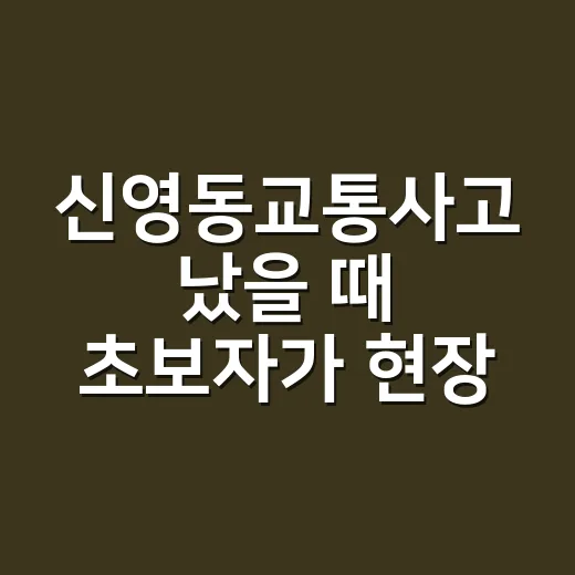 신영동교통사고 났을 때 초보자가 현장에서 처리하는 방법 - 요약