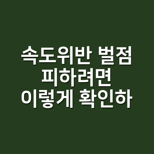 속도위반 벌점 피하려면 이렇게 확인하세요 - 요약