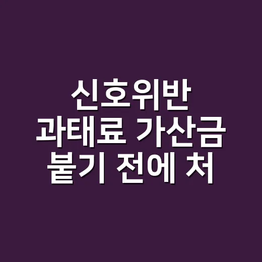 신호위반 과태료 가산금 붙기 전에 처리하는 방법 - 요약