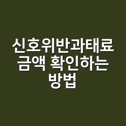 신호위반과태료 금액 확인하는 방법, 초보 운전자가 먼저 볼 기준 - 요약