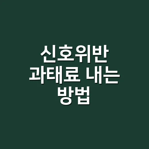 신호위반 과태료 내는 방법, 초보 운전자가 헷갈리지 않게 처리하는 순서 - 요약